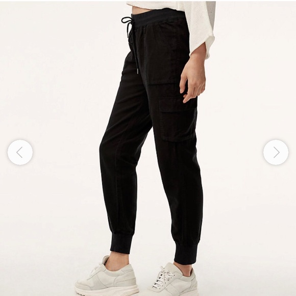 2 for $40đ Aritzia Community Cebu pant